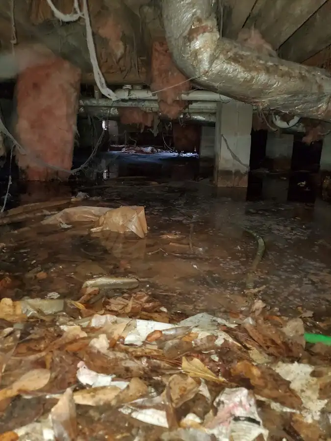 Crawl space flood assessment for Commercial Water Damage Restoration in Taylors