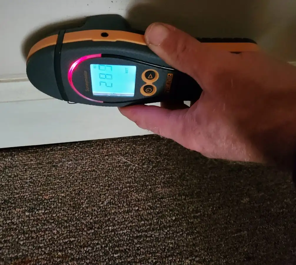 Moisture detection at baseboard during Mold Inspection & Testing in Taylors